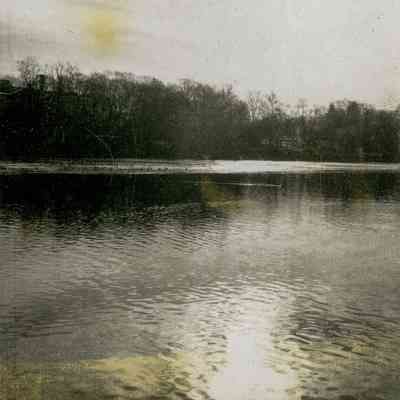 Water View of a Wooded Area