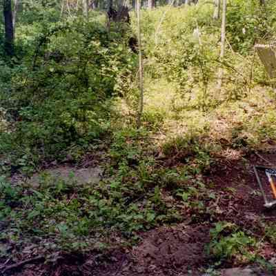 Peck Cemetery H
