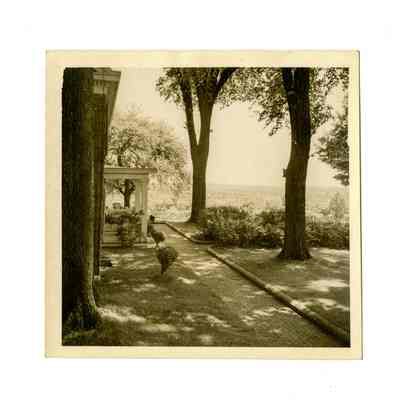 Fairchild Riversville Road D