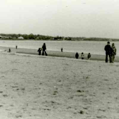 Greenwich Point Beach C