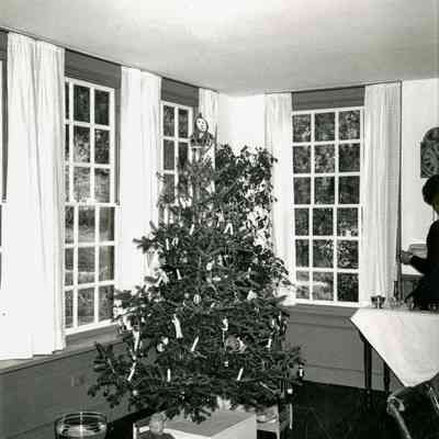 Bush-Holley House Christmas Tree