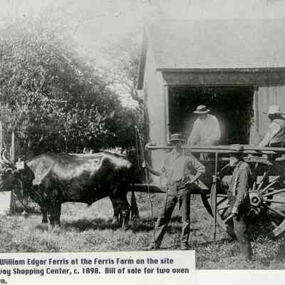Ferris Farm