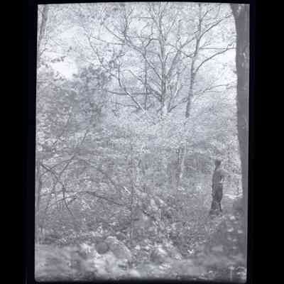Mead Estate Round Hill Road Negative C
