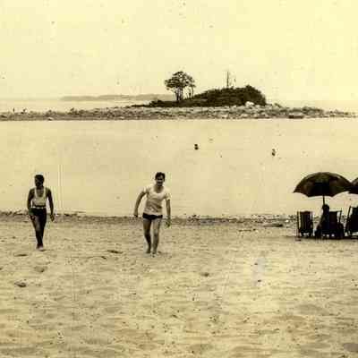 The "Clump" Seen from Island Beach