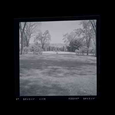Simmons Estate Lake Avenue Negative B