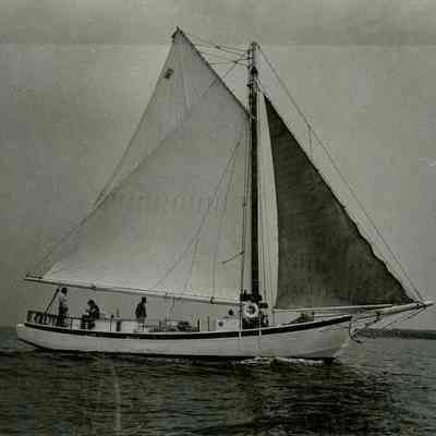 The "Hope" B