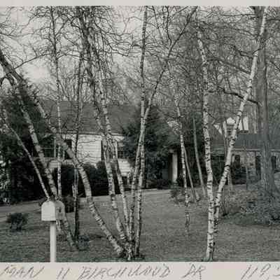 11 Birchwood Drive A
