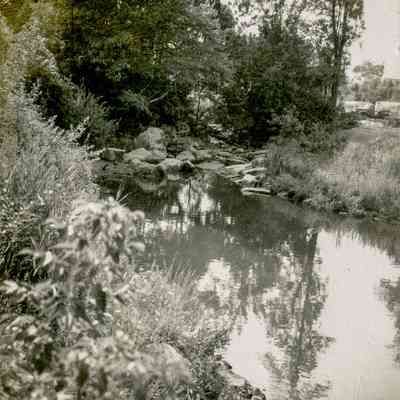 Flooded Horseneck Brook