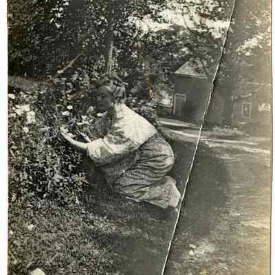 Constant MacRae Gardening