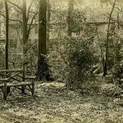 Birchen Bower