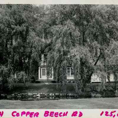23 Copper Beech Road A