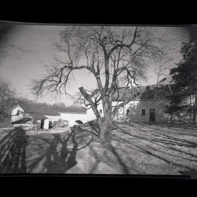 Bowman Sanitarium Stanwich Road Negative F