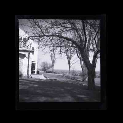 Parmentier Residence Dairy Road Negative H