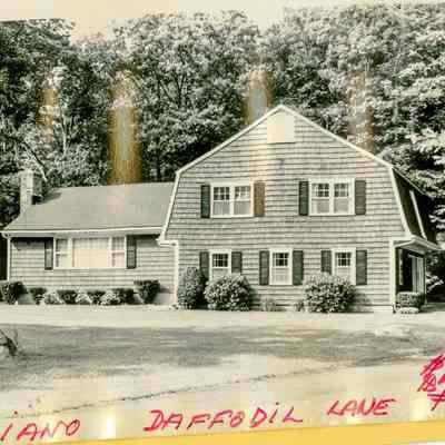 Cigliano House Daffodil Lane