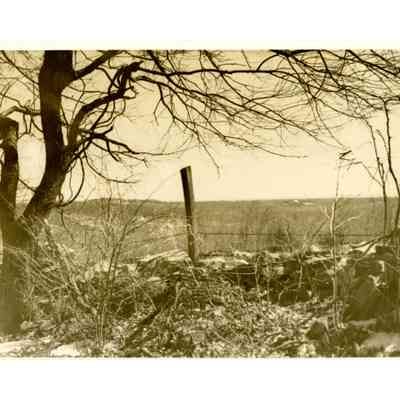 Cragholme Farms Cliffdale Road B