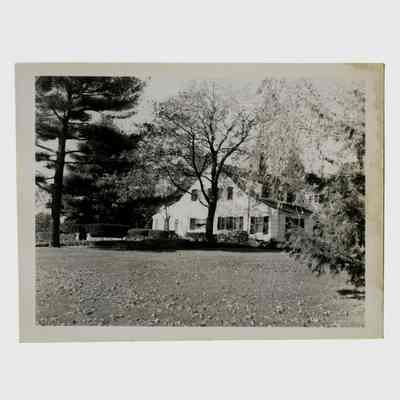Root Estate Lake Avenue C