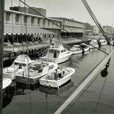 Showboat Motor Inn A