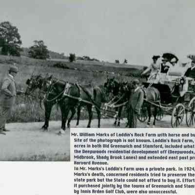 Horse and Buggy