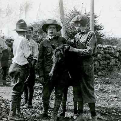 Boy Scouts with Pony
