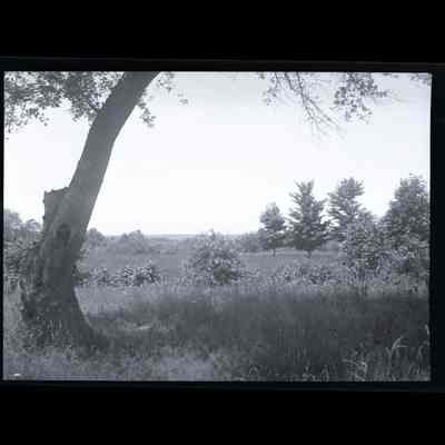 Sumner Estate Creamer Hill Road Negative D