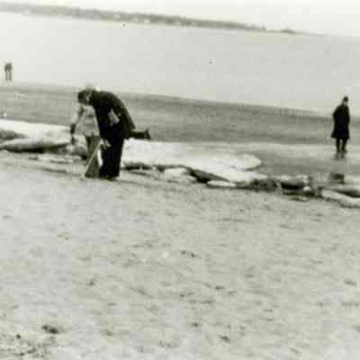 Greenwich Point Beach D