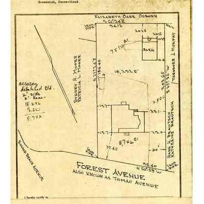 Forest Avenue Map