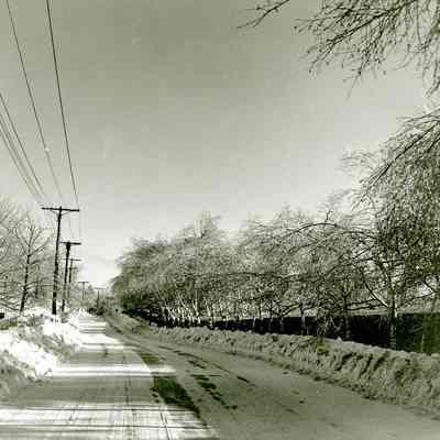 Ice Storm E