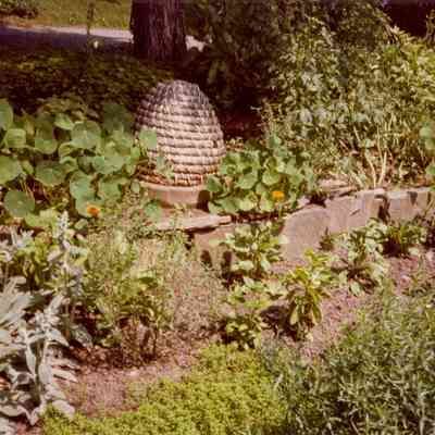 Bush-Holley House Garden H