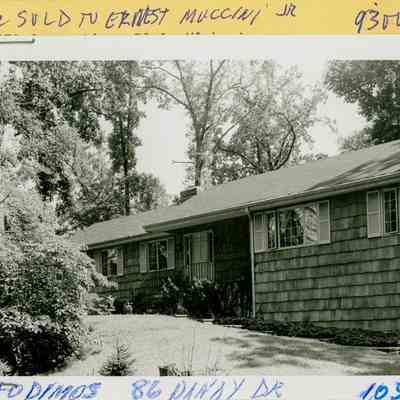 86 Dandy Drive
