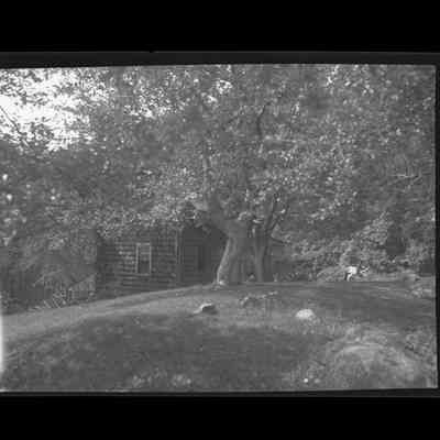 House [Lower Cross Road] Negative D