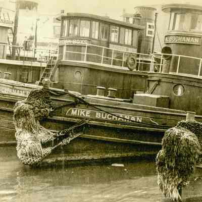Buchanan Tug Boats Wee Captains Island C