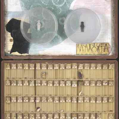 Biospecimens of North America