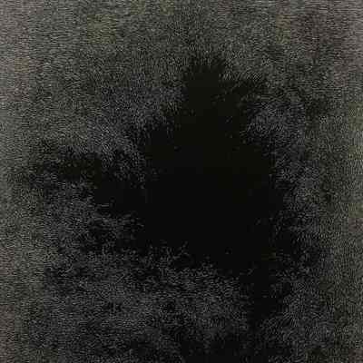 this trembling turf (the hollow)