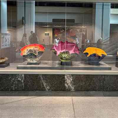 Chihuly Installation