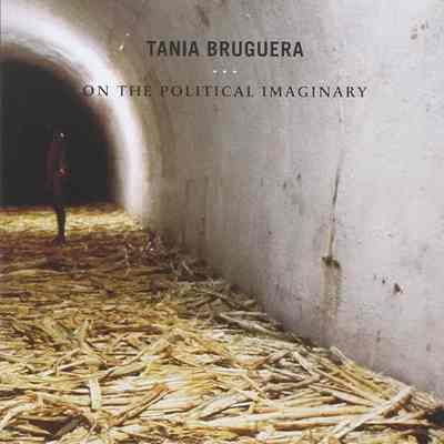 On the Political Imaginary