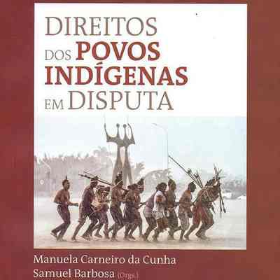 Direitos dos Povos Indígenas em Disputa
