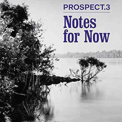 Prospect.3 Notes for Now