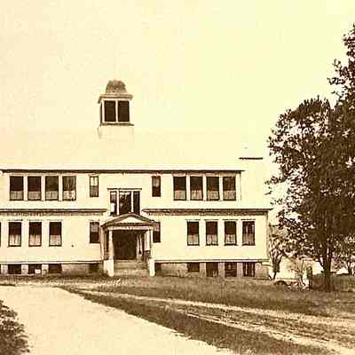 The New School