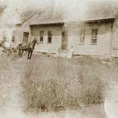 Horse and Buggy in the Front Yard