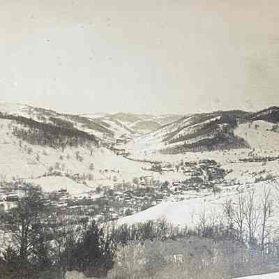 Village in the Winter