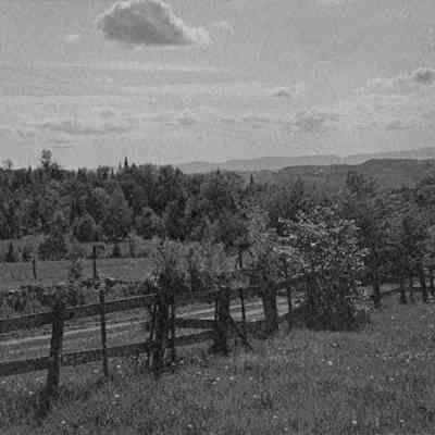 Country road 6-0366