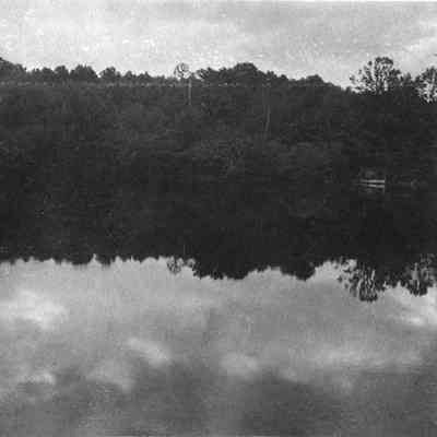 Trees reflected in calm water 6-0325