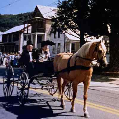 Chelsea Bicentennial