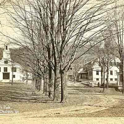 South Common View