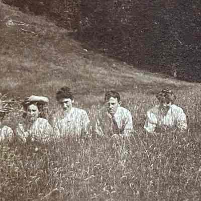 Picnic Group II