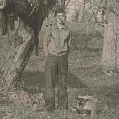 Boy Picking Apples