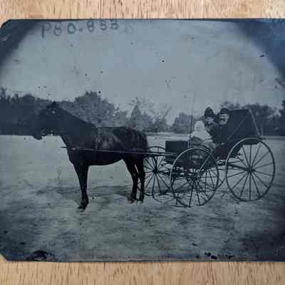 Horse and Buggy