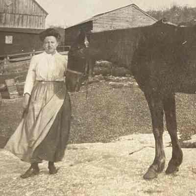 Woman Showing Horse