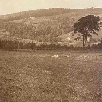 Field and Mountains