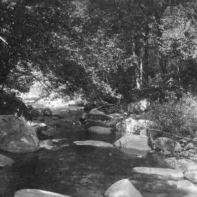 River scene 6-0337